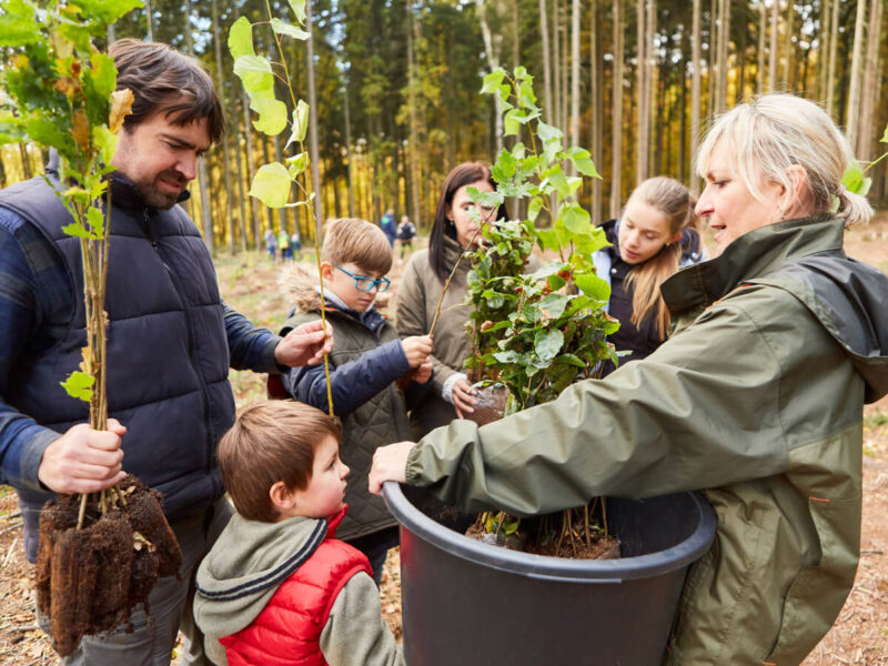 Zwei Erwachsene mit einer Gruppe Kinder und Pflanzensetzlingen im Wald